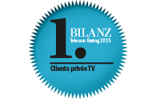 Bilanz Siegel